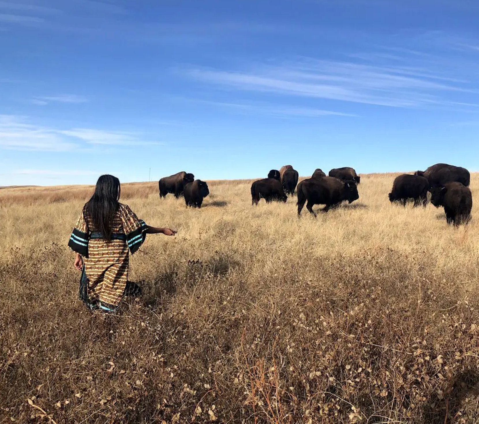Woman and Buffalo