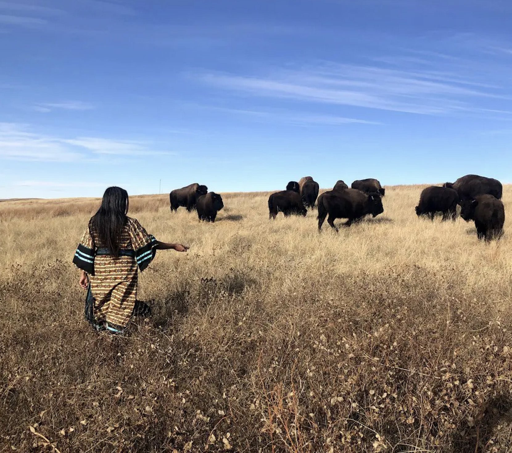 Woman and Buffalo