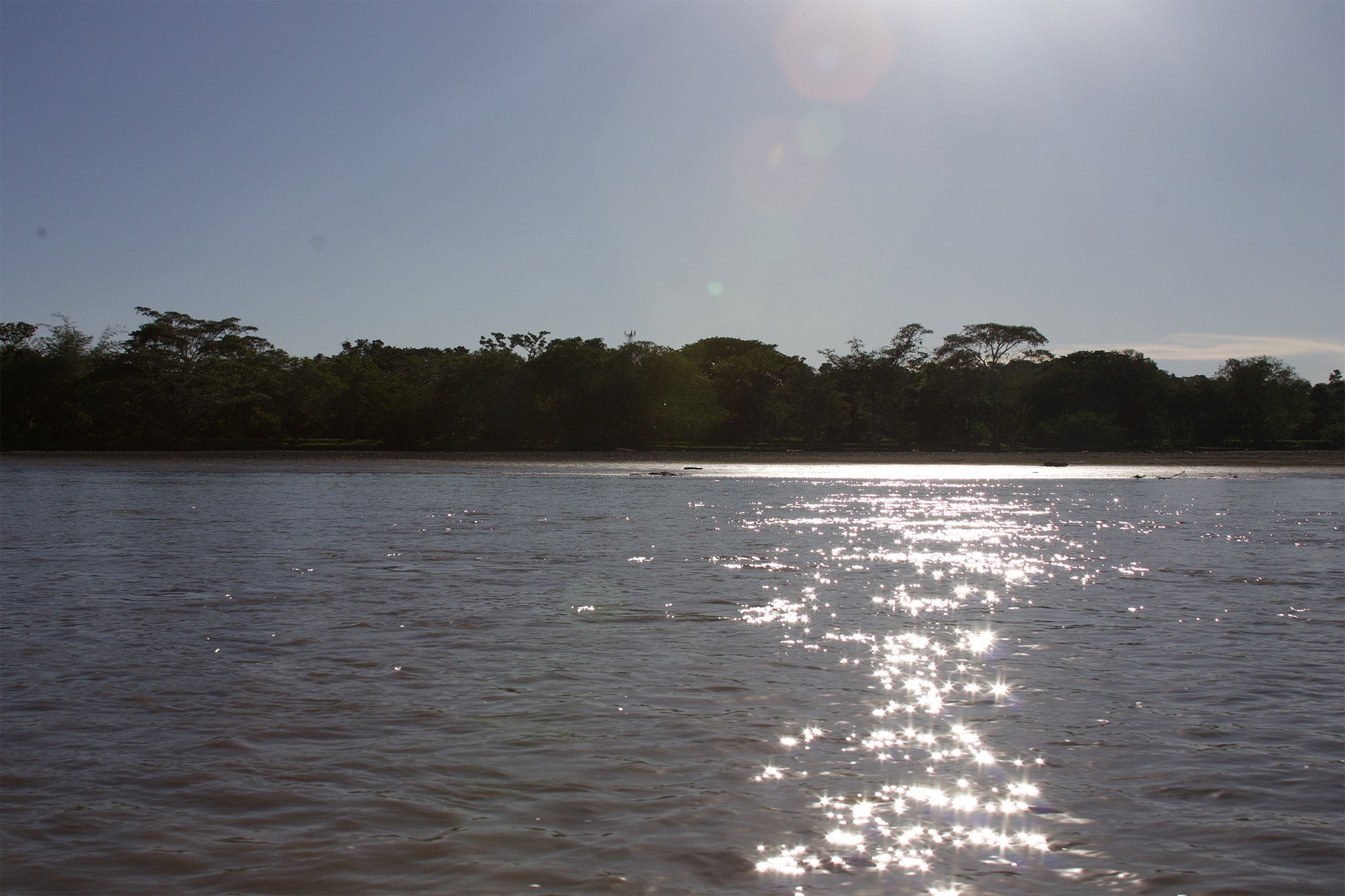 View of the River 