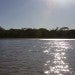 View of the River 